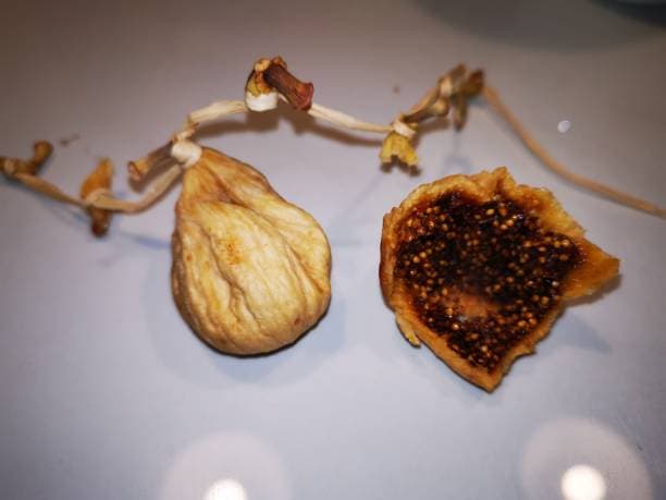 تصویر 4 از خرید انجیر خشک نی ریز + فروش صادراتی